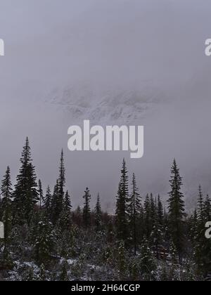 Face rocheuse de l'est du robuste mont Edith Cavell vue à travers l'écart dans le brouillard épais le matin nuageux de la saison d'automne dans le parc national Jasper, Canada. Banque D'Images