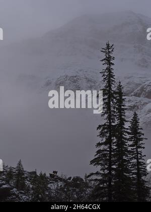 Vue imprenable sur la face rocheuse accidentée du mont Edith Cavell dans le parc national Jasper, Alberta, Canada, dans les montagnes Rocheuses, en automne avec banc de repos. Banque D'Images