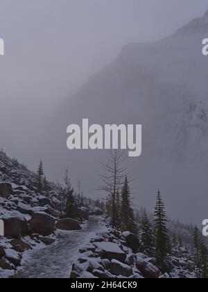 Paysage magnifique avec sentier de randonnée couvert de neige sur la pente en face de la face rocheuse accidentée du mont Edith Cavell dans le parc national Jasper, Canada. Banque D'Images