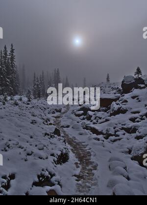 Sentier de randonnée qui traverse un paysage hivernal couvert de neige avec des rochers et des arbres dans le parc national Jasper, Alberta, Canada avec soleil. Banque D'Images