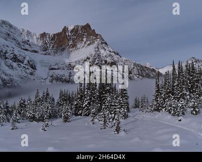 Vue sur la montagne majestueuse Mont Edith Cavell avec Angel Glacier à la fin de l'automne avec sentier de randonnée dans un paysage enneigé et des arbres au Canada. Banque D'Images