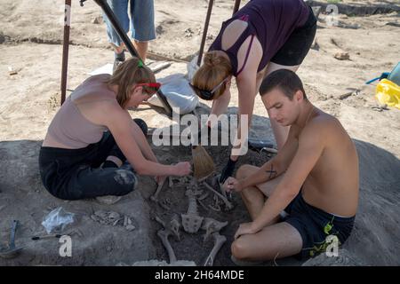 Vinča, Serbie, 4 septembre 2021 : gros plan d'archéologues travaillant sur l'excavation de restes humains Banque D'Images