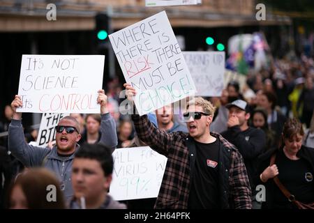 Melbourne, Australie.13 novembre 2021.Les manifestants sont vus chanter « le macareux Dan Andrew » alors qu'ils tiennent des pancartes anti-mandat lors d'une manifestation anti-gouvernementale contre Andrew lors des marches du Parlement d'État à Melbourne.Des milliers de manifestants ont enduré la pluie pour lutter contre les mandats de vaccination ainsi que contre le projet de loi draconien sur la pandémie du gouvernement Andrews.Crédit : Dave Helison/Speed Media/Alamy Live News Banque D'Images