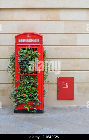 Ancienne boîte téléphonique britannique rouge avec imagination et plantes pour créer un paysage urbain unique dans le centre-ville de Bath, Somerset. Banque D'Images