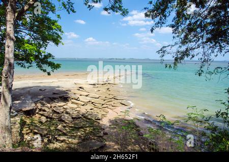 Coquilles fossiles à Krabi, Thaïlande Banque D'Images