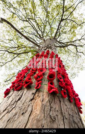 Market Warsop, Royaume-Uni.13 novembre 2021.Coquelicots rouges tricotés faits maison et taille de vie en bois peint en noir britannique 1er.Un soldat de la Guerre mondiale décorera la principale voie de procession à travers la ville de Market Warsop du Notinghamshire vers le mémorial de guerre de la ville qui aura lieu demain, dimanche 14 novembre, jour du souvenir.Crédit : Alan Keith Beastaall/Alay Live News Banque D'Images