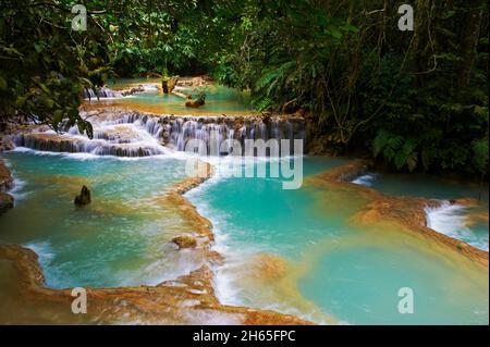 Laos, province de Luang Prabang, chute de TAD Thong // Laos, province de Luang Prabang, ville de Luang Prabang, Patrimoine mondial de l'UNESCO depuis 1995, Ta Banque D'Images