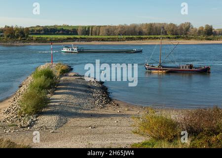 Allemagne, Monheim am Rhein, Rhin, Bergisches pays, Niederbergisches pays,Niederberg, Rhénanie-du-Nord-Westphalie, NRW, paysage du Rhin,Langue de terre, cargo sur le Rhin, bateau de pêche Aalschokker pour la pêche de l'anguille dans le Rhin à la rive de Monheim, derrière la rive du Rhin de Dormagen Banque D'Images