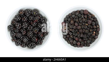 Mûres européennes fraîches et séchées dans des bols blancs.Brambles sauvages, Rubus fruticosus, fruits doux, utilisés frais pour les desserts et les confitures, et séchés comme te Banque D'Images