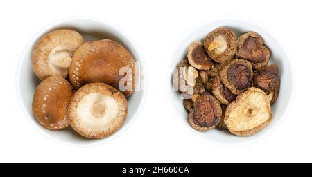 Champignons shiitake frais et séchés, dans des bols blancs.Lentinula edodes, champignons comestibles, originaires d'Asie de l'est, également utilisés en médecine traditionnelle. Banque D'Images