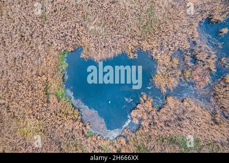 La forme du coeur sur le lac parmi les épaississants, vue du drone. Banque D'Images