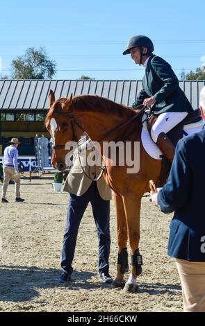 Séville, Espagne.13 novembre 2021.L'Infanta Elena assiste aux sauts dans la Hipica de Pineda, samedi, 13 novembre, 202 crédit: CORDO PRESSE/Alay Live News Banque D'Images