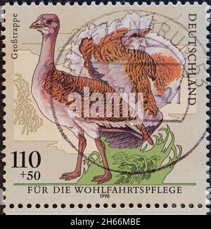 ALLEMAGNE - VERS 1998 : timbre-poste de l'Allemagne, montrant un dessin de l'oiseau en danger de disparition Great Bustard Banque D'Images
