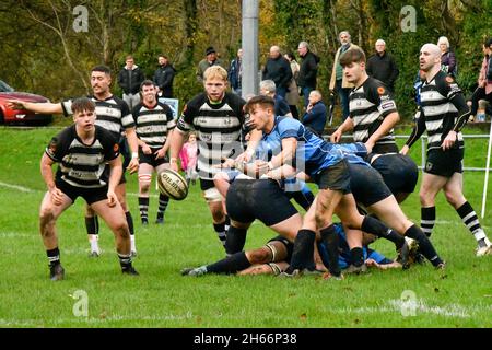 Trebanos, pays de Galles.13 novembre 2021.Robert Jones de Trebanos RFC en action lors du championnat national d'Admiral WRU entre Trebanos et Cross Keys au parc Trebanos à Trebanos, pays de Galles, Royaume-Uni le 13 novembre 2021.Crédit : Duncan Thomas/Majestic Media/Alay Live News. Banque D'Images