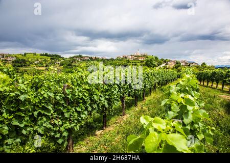 Village médiéval Smartno à Goriska Brda, région de la Slovénie. Banque D'Images