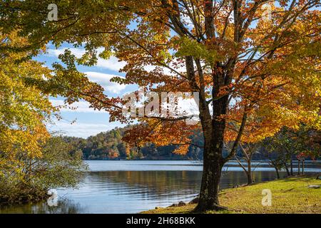 Vue d'automne pittoresque du lac Burton depuis le parc national de Moccasin Creek, dans les montagnes Blue Ridge, près de Clarkesville, en Géorgie.(ÉTATS-UNIS) Banque D'Images