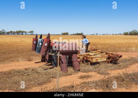 Exposition originale de chevaux labourant un champ le long de la Tin Horse Highway, Kulin, The Wheatbelt, Australie occidentale, WA,Australie Banque D'Images