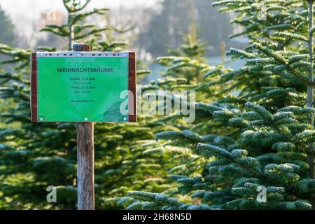 Panneau avec le lettrage allemand « vente d'arbres de Noël » devant des sapins à feuilles persistantes recouverts de gel sur une ferme d'arbres de Noël.Publicité pour la vente. Banque D'Images