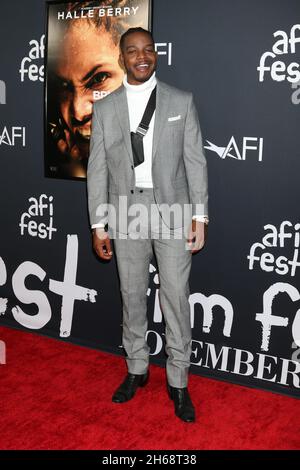 LOS ANGELES - 13 NOVEMBRE : Stephan James au Fest de l'AFI - première meurtrisée au cinéma chinois IMAX de TCL le 13 novembre 2021 à Los Angeles, CA Banque D'Images