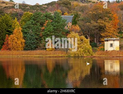 Duddingston Loch Edinburgh, Écosse, Royaume-Uni.14 novembre 2021.Nuageux avec réflexions à 7 degrés sur le loch.Avec Duddingston Kirk niché au milieu du sol et Arthur's Seat derrière, sur la droite se trouve Thomson's Tower qui est un bâtiment octogonal unique situé sur la rive du Loch Duddingston conçu par William Henry Playfair (1789-1857),Le célèbre architecte d'Édimbourg et construit par la Duddingston Curling Society dont les membres ont d'abord rédigé les règles du curling, ce qui a conduit à la normalisation du jeu dans tout le pays.Crédit : Arch White/Alamy Live News Banque D'Images