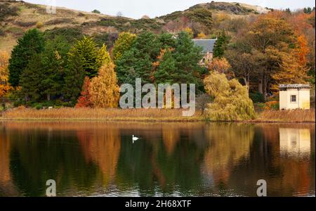 Duddingston Loch Edinburgh, Écosse, Royaume-Uni.14 novembre 2021.Nuageux avec réflexions à 7 degrés sur le loch.Avec Duddingston Kirk niché au milieu du sol et Arthur's Seat derrière, sur la droite se trouve Thomson's Tower qui est un bâtiment octogonal unique situé sur la rive du Loch Duddingston conçu par William Henry Playfair (1789-1857),Le célèbre architecte d'Édimbourg et construit par la Duddingston Curling Society dont les membres ont d'abord rédigé les règles du curling, ce qui a conduit à la normalisation du jeu dans tout le pays.Crédit : Arch White/Alamy Live News Banque D'Images