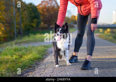Une femme se plie pour s'amuser son chien Border Collie à l'extérieur sur un sentier de randonnée pendant la soirée ou courir ensemble dans un style de vie actif en plein air c Banque D'Images