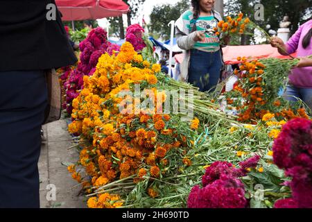 ESTADO DE MEXICO, MEXIQUE - 06 octobre 2021 : la vente de fleurs pour le jour des morts au Mexique Banque D'Images