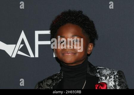 13 novembre 2021, Los Angeles, CA, Etats-Unis: LOS ANGELES - 13 NOVEMBRE: Danny Boyd Jr au Fest de l'AFI - première meurtrisée au Théâtre chinois de TCL IMAX le 13 novembre 2021 à Los Angeles, CA (Credit image: © Kay Blake/ZUMA Press Wire) Banque D'Images