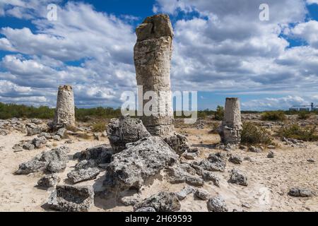 Colonnes en pierre dans la région des formations rocheuses de Pobiti Kamani appelée désert de pierre en Bulgarie Banque D'Images