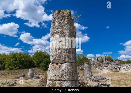 Colonnes en pierre dans la région des formations rocheuses de Pobiti Kamani appelée désert de pierre en Bulgarie Banque D'Images