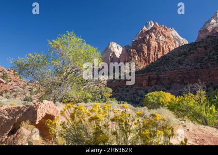 Parc national de Zion, Utah, États-Unis.Vue le long du canyon de Zion jusqu'au mont Spry, aux frères jumeaux et à la montagne du soleil, en automne. Banque D'Images