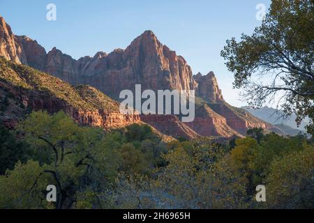 Parc national de Zion, Utah, États-Unis.Vue depuis Canyon Junction sur les arbres jusqu'aux imposantes falaises de grès rouge du Watchman, coucher de soleil. Banque D'Images