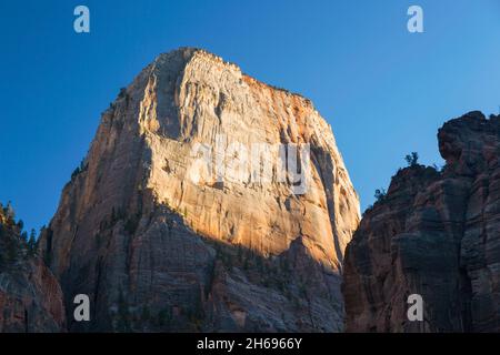 Parc national de Zion, Utah, États-Unis.Vue à angle bas au coucher du soleil sur l'imposante face nord-ouest du Grand trône blanc, automne. Banque D'Images