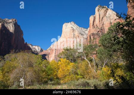 Parc national de Zion, Utah, États-Unis.Vue sur la vallée boisée jusqu'aux sommets d'Abraham et d'Isaac à la Cour des Patriarches, automne. Banque D'Images
