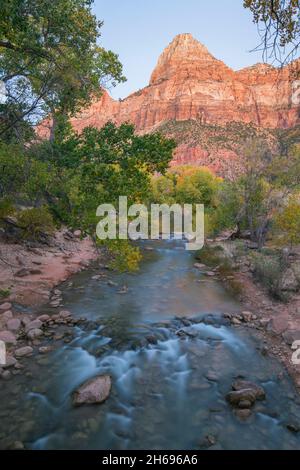 Parc national de Zion, Utah, États-Unis.Vue depuis le sentier Pa'rus Trail le long de la rivière Virgin jusqu'à Bridge Mountain, en automne, falaises rose éclatant au crépuscule. Banque D'Images