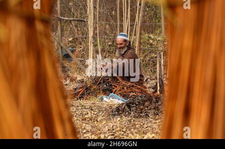 Ganderbal, Jammu-et-Cachemire, Inde.14 novembre 2021.Un villageois de Kashmiri épluche la couverture de bâtons d'osier dans le village de Shallabugh du district de Ganderbal à environ 22 kms de Srinagar, le 14 novembre 2021.Crédit: Adil Abbas/ZUMA Wire/Alay Live News Banque D'Images