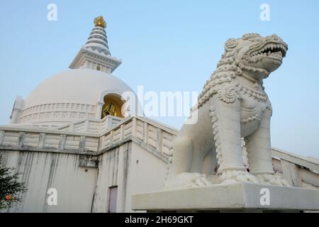 Pagode de la paix mondiale à Lumbini, au Népal. Banque D'Images