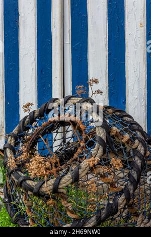 old lobster poy se penchait contre une hutte de plage colorée à ventnor sur l'île de wight uk, des pots de homard bleu et blanc de la hutte de plage Banque D'Images