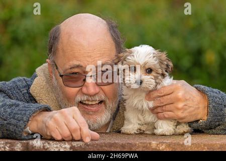 Portrait, homme elcely et son Bolobka Zwetna jouet chien pup, Allemagne Banque D'Images