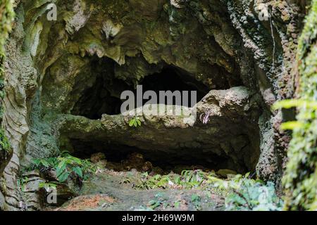 Cave tunnel, Ruakuri Bush et Scenic Reserve, Waitomo, Nouvelle-Zélande Banque D'Images