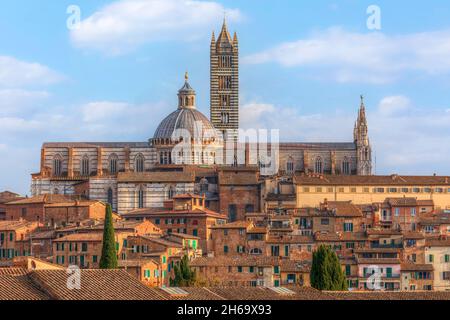 Sienne, Toscane, Italie Banque D'Images