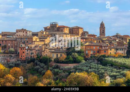 Sienne, Toscane, Italie Banque D'Images