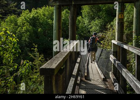 Randonneurs marchant sur un pont tournant à Rouetun Track.Panneau d'avertissement jaune sur la mariée avec des mots – charge maximale 5 personnes.Île du Sud, Nouvelle-Zélande. Banque D'Images