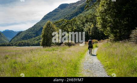 Un randonneur marchant sur les Flats de Routeburn Track sous le soleil chaud, une des grandes promenades de Nouvelle-Zélande. Banque D'Images