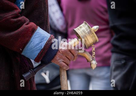 Main d'un vieil homme tibétain avec bâton et roue de prière dans la rue de Lamayuru Gompa, Ladakh, Inde.Gros plan Banque D'Images