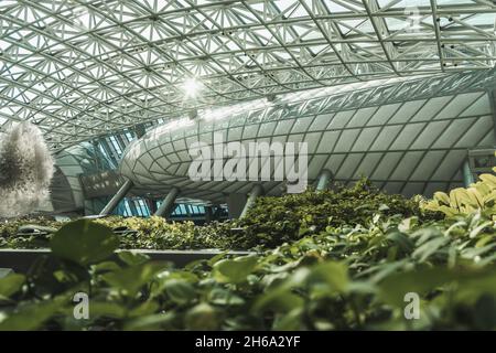 Jardin botanique en métropole.Bâtiment moderne avec plafond en verre et murs dans la grande ville.Intérieur de bâtiment urbain avec plantes. Banque D'Images