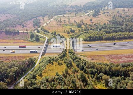 Aérien de l'écoconduit de Borkeld sur l'autoroute A1 à Rijssen aux pays-Bas Banque D'Images