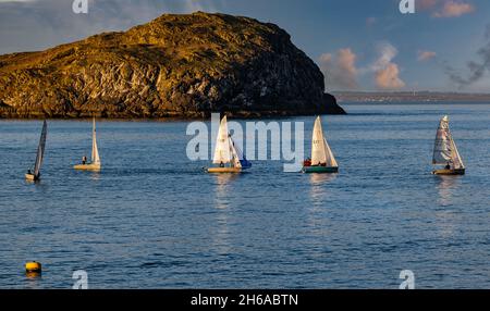 Voile de dinghies dans le Firth of Forth par Craigleith Island au soleil, Écosse, Royaume-Uni Banque D'Images