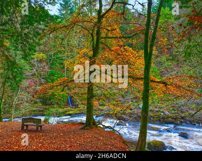 Killiecrankie - Dunkeld - Perthshire - Écosse Banque D'Images