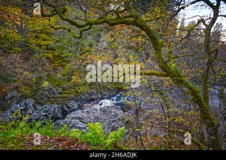 Killiecrankie - Dunkeld - Perthshire - Écosse Banque D'Images